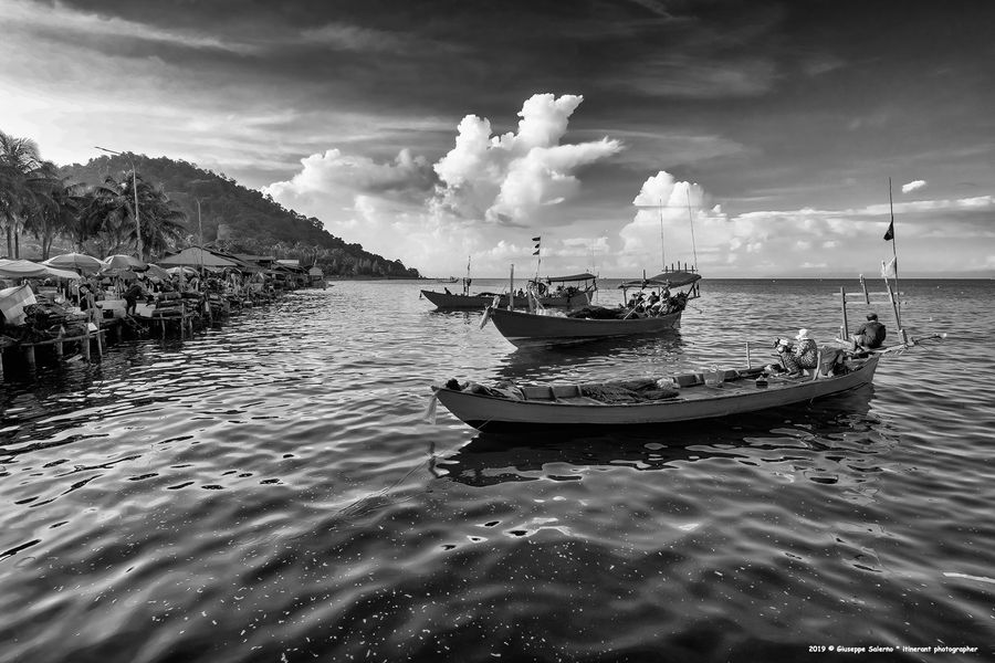 lady crabs 4_0023.jpg