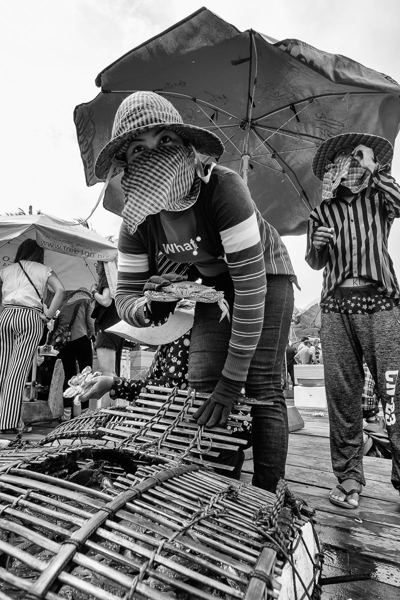 lady crabs 2_0337.jpg