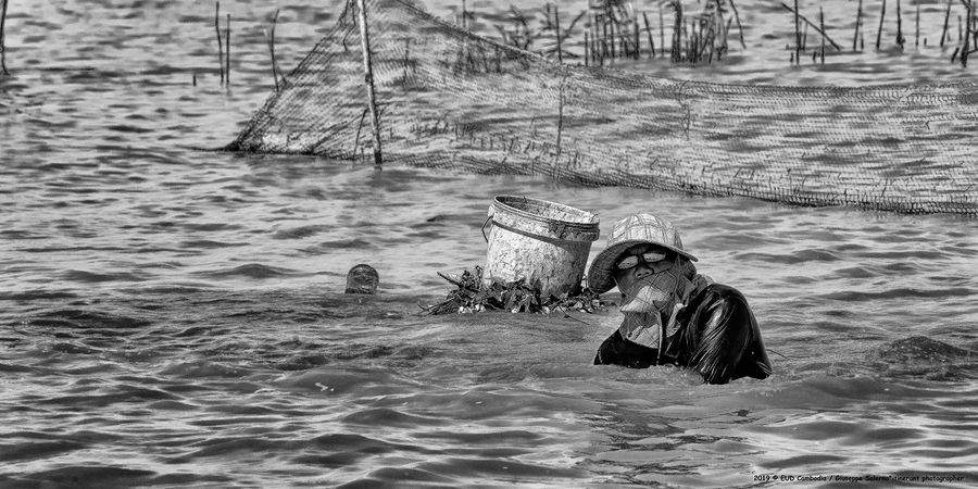 por rieng1°_0680.jpg