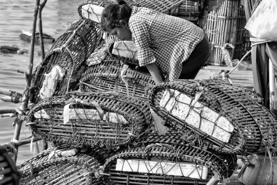 lady crabs 3_0168.jpg