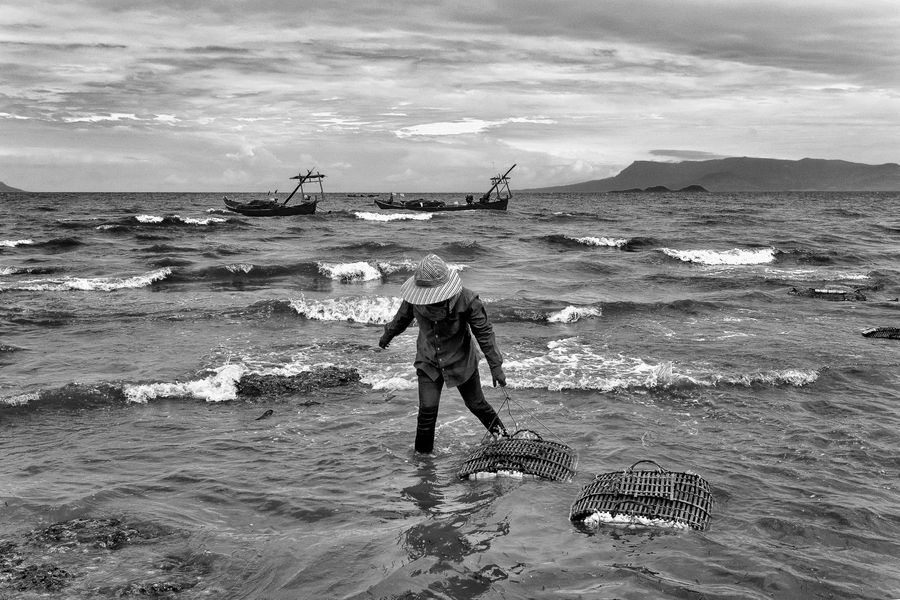 lady crabs 2_0283.jpg