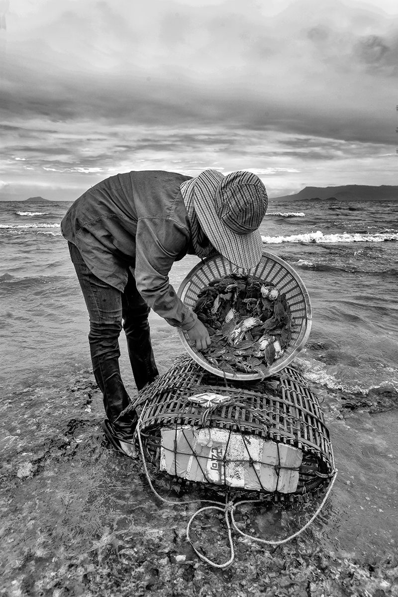 lady crabs 2_0254.jpg