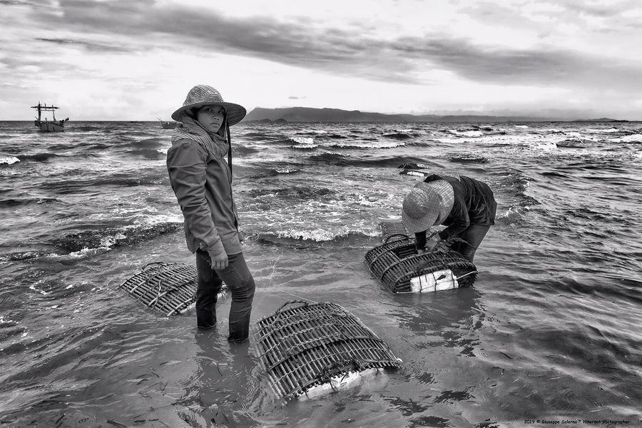 lady crabs 2_0342.jpg