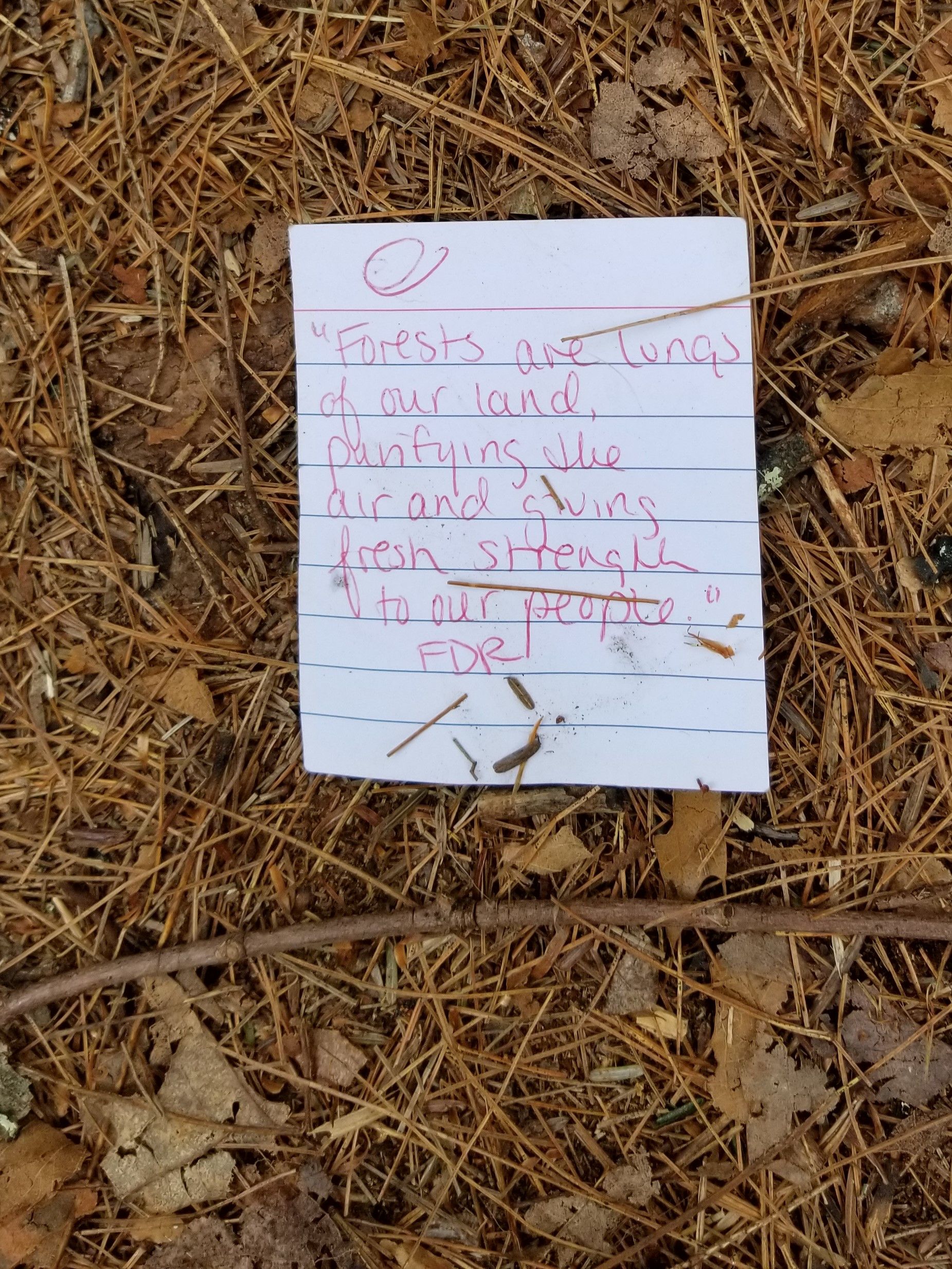 A Note From the Woods.jpg