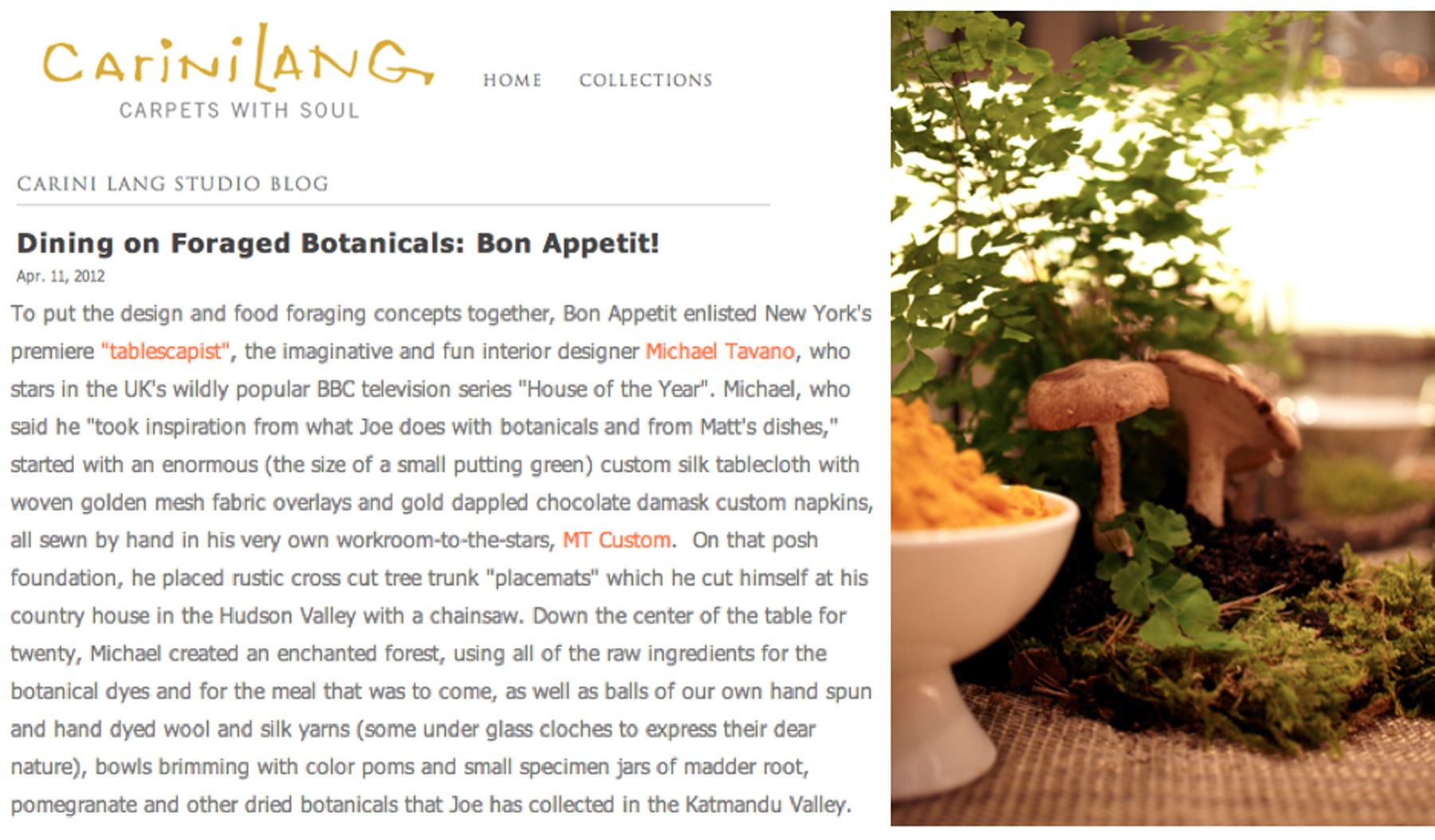 Carini Lang Studio Blog