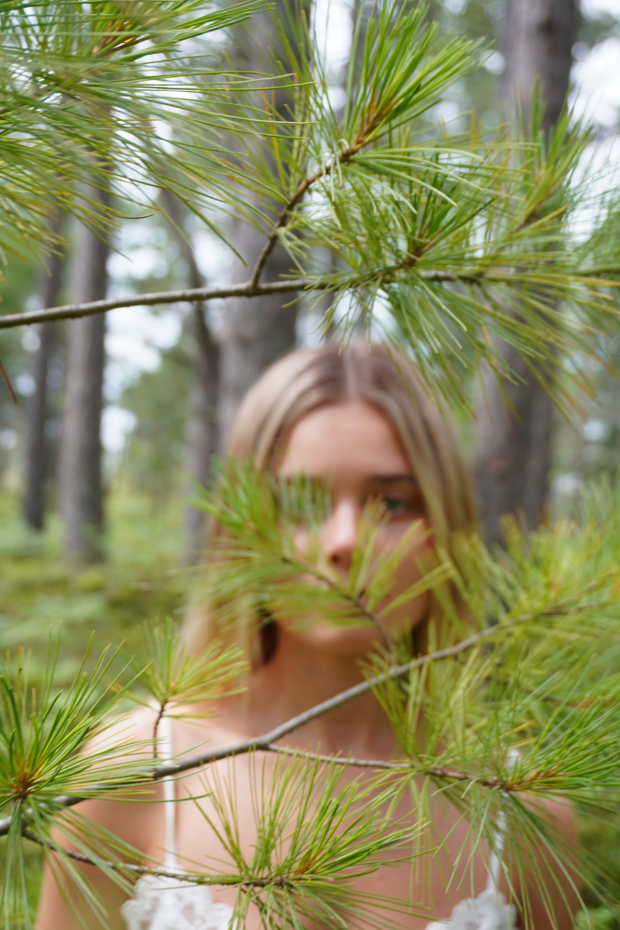 lookingpines.jpg