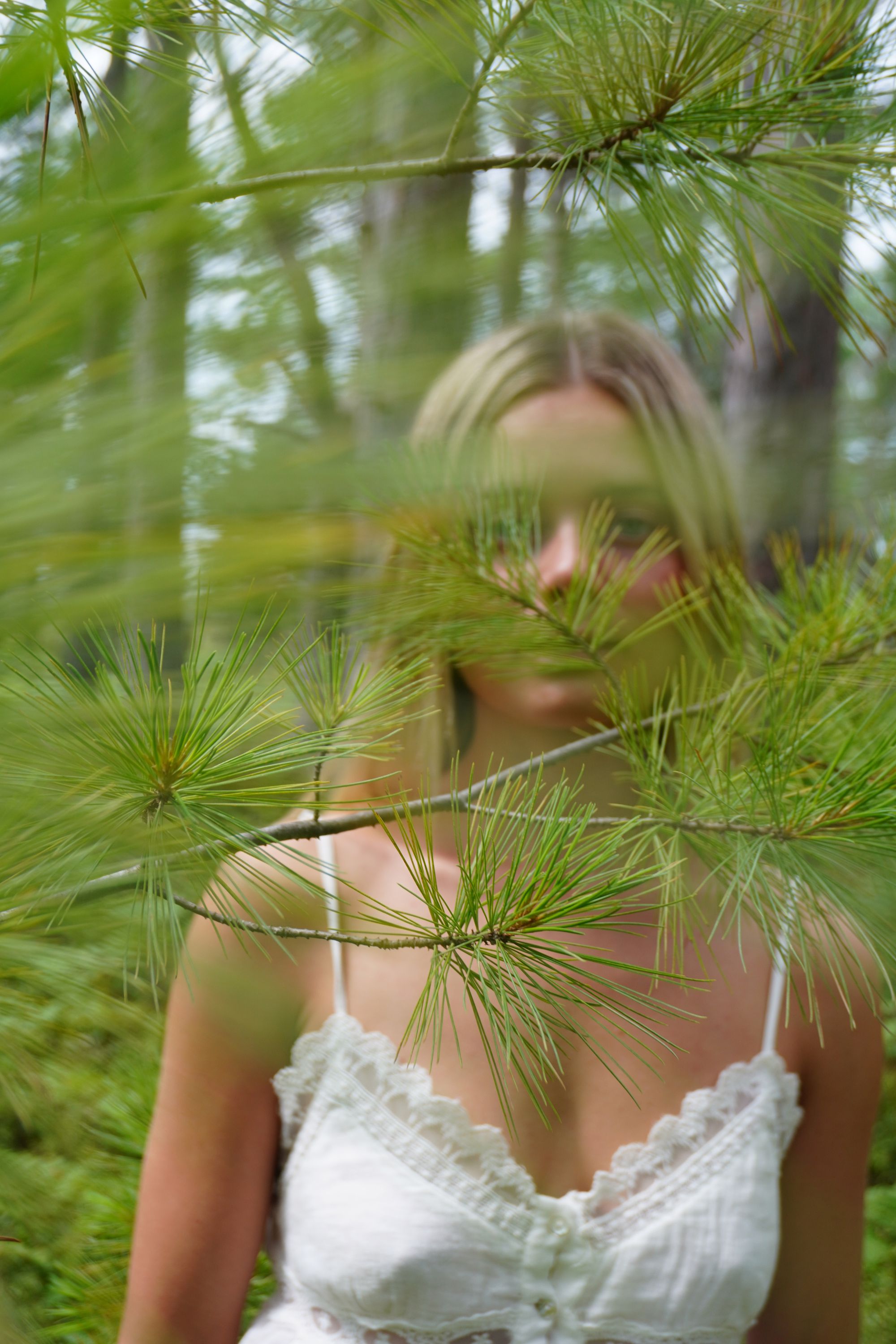 branches.jpg