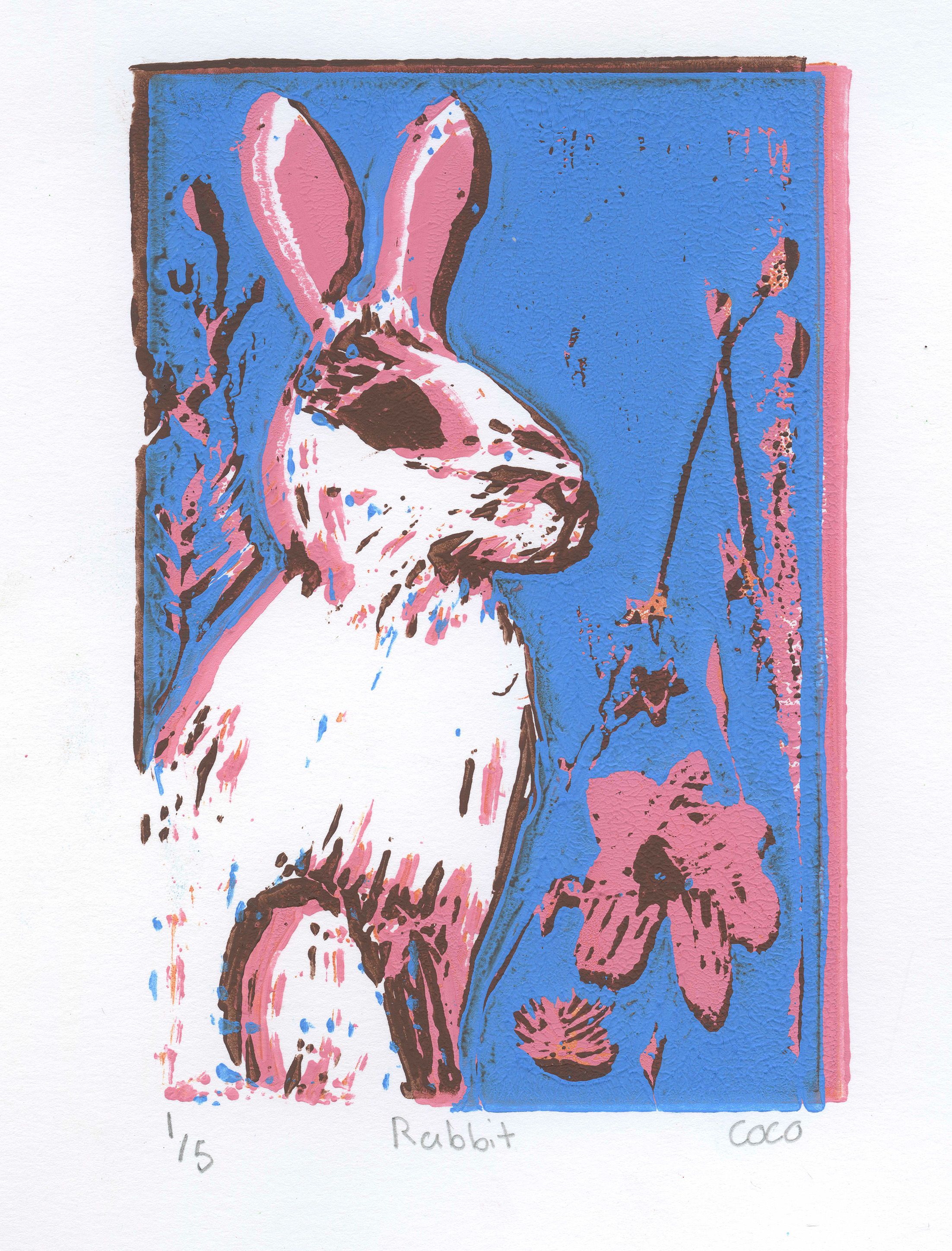 bunnyreduced.jpg