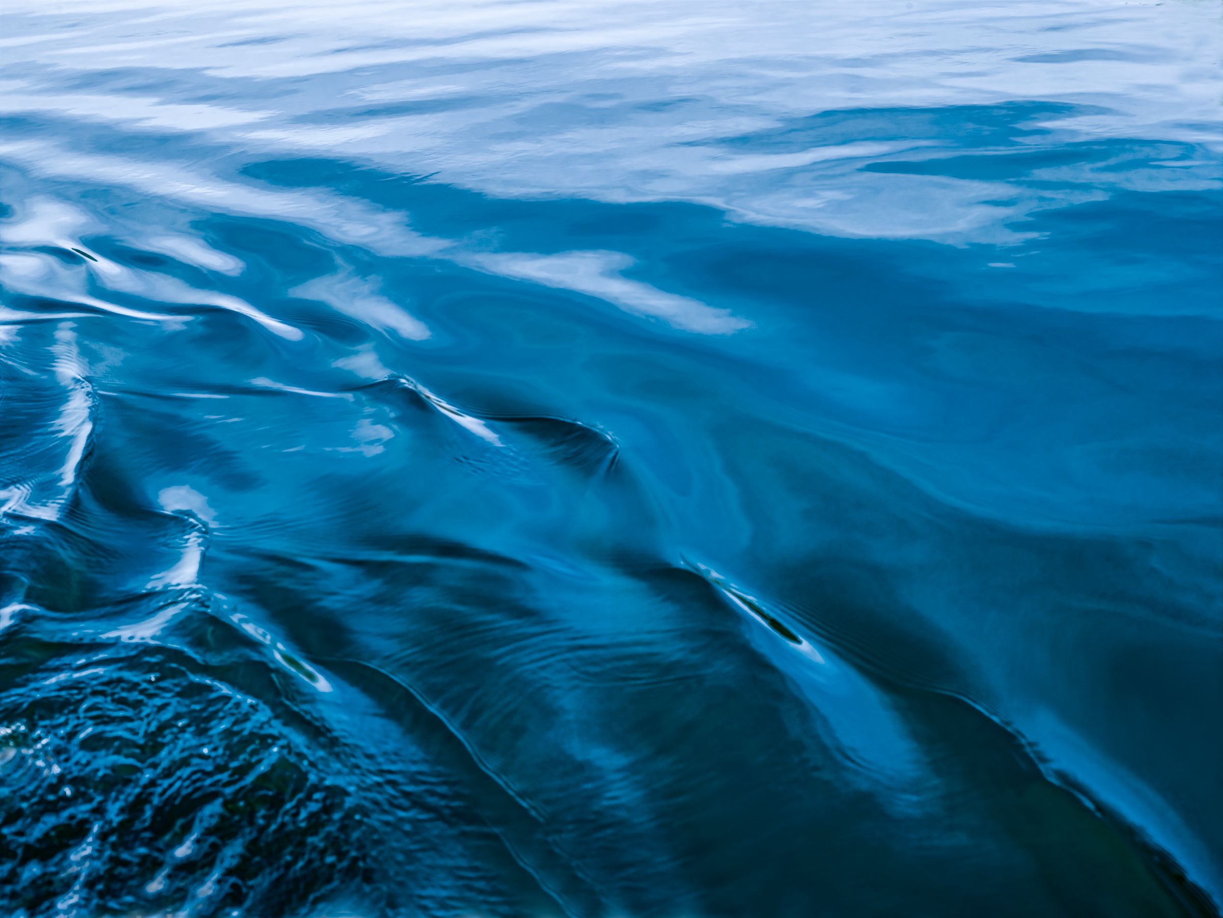 BL Blue 1_ Suriani.jpg