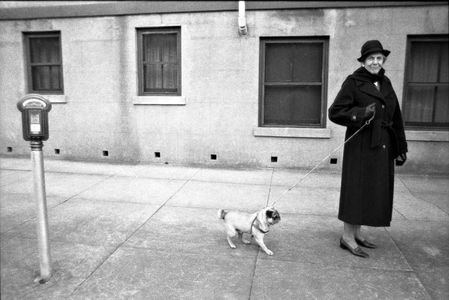 Walking Pug, Savannah, 1981