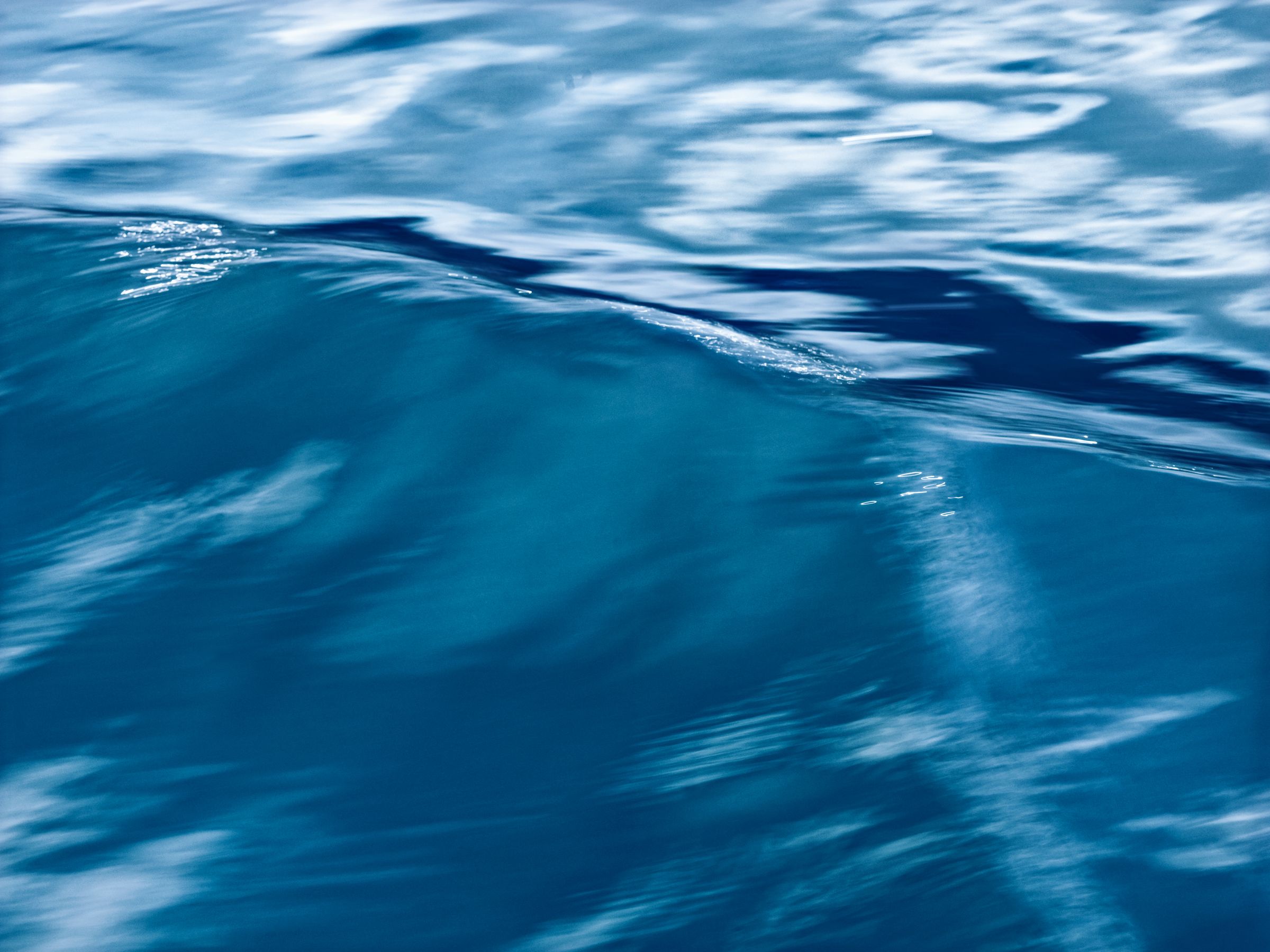 MS_BL_08_0126 blue.jpg