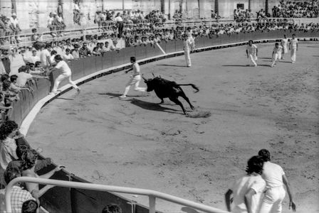 Arles_bullfight.jpg