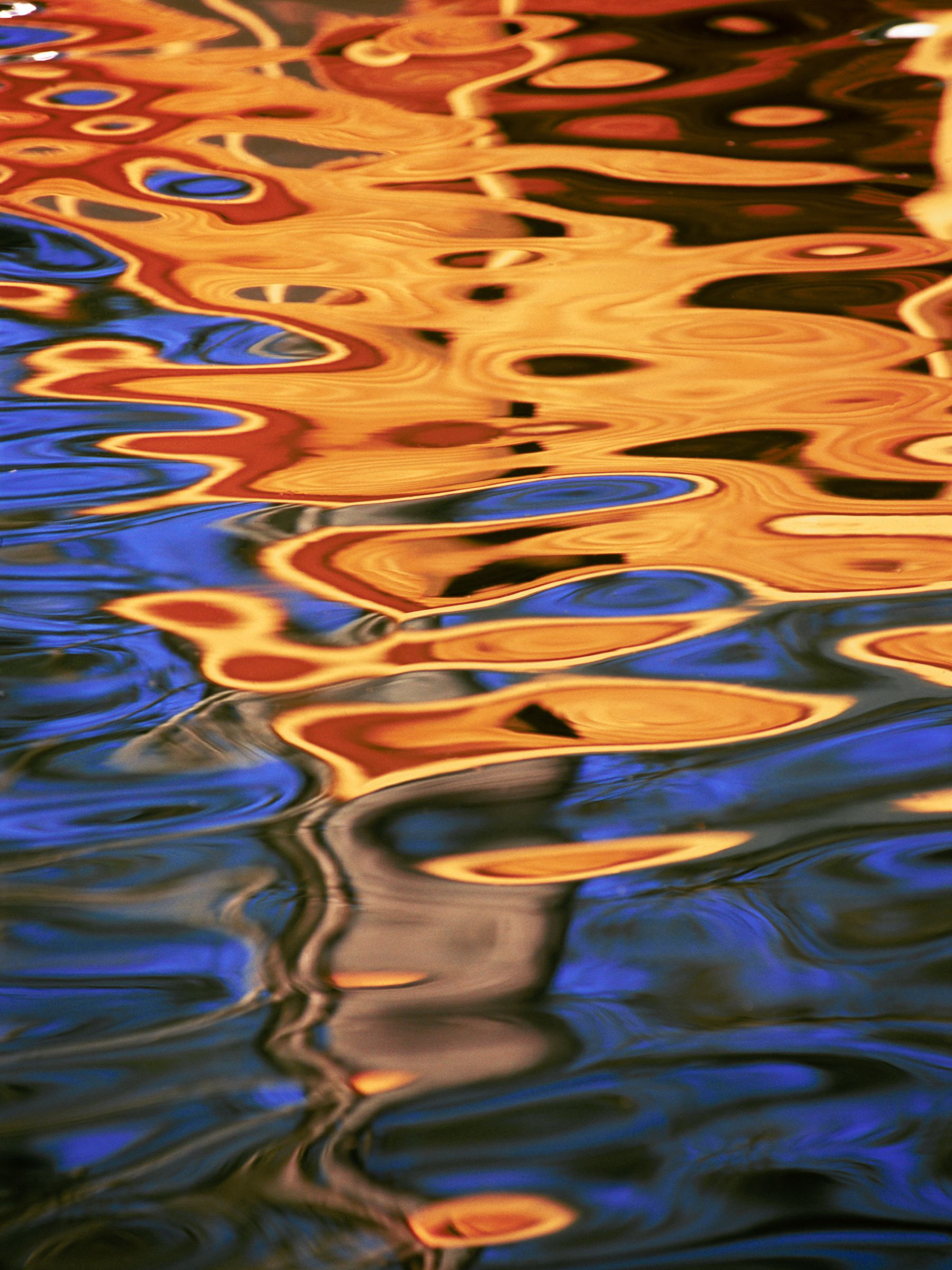 orange and blue vert30 x 40.jpg