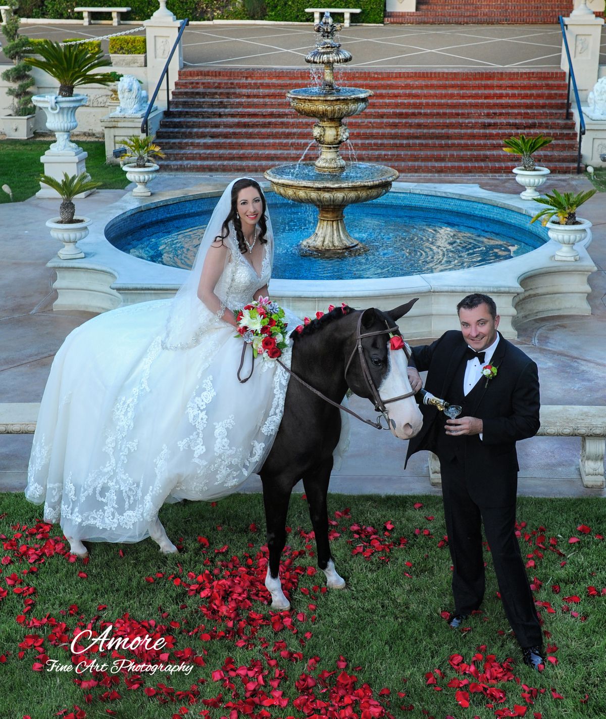 sac bride cover 2 for Joni.jpg