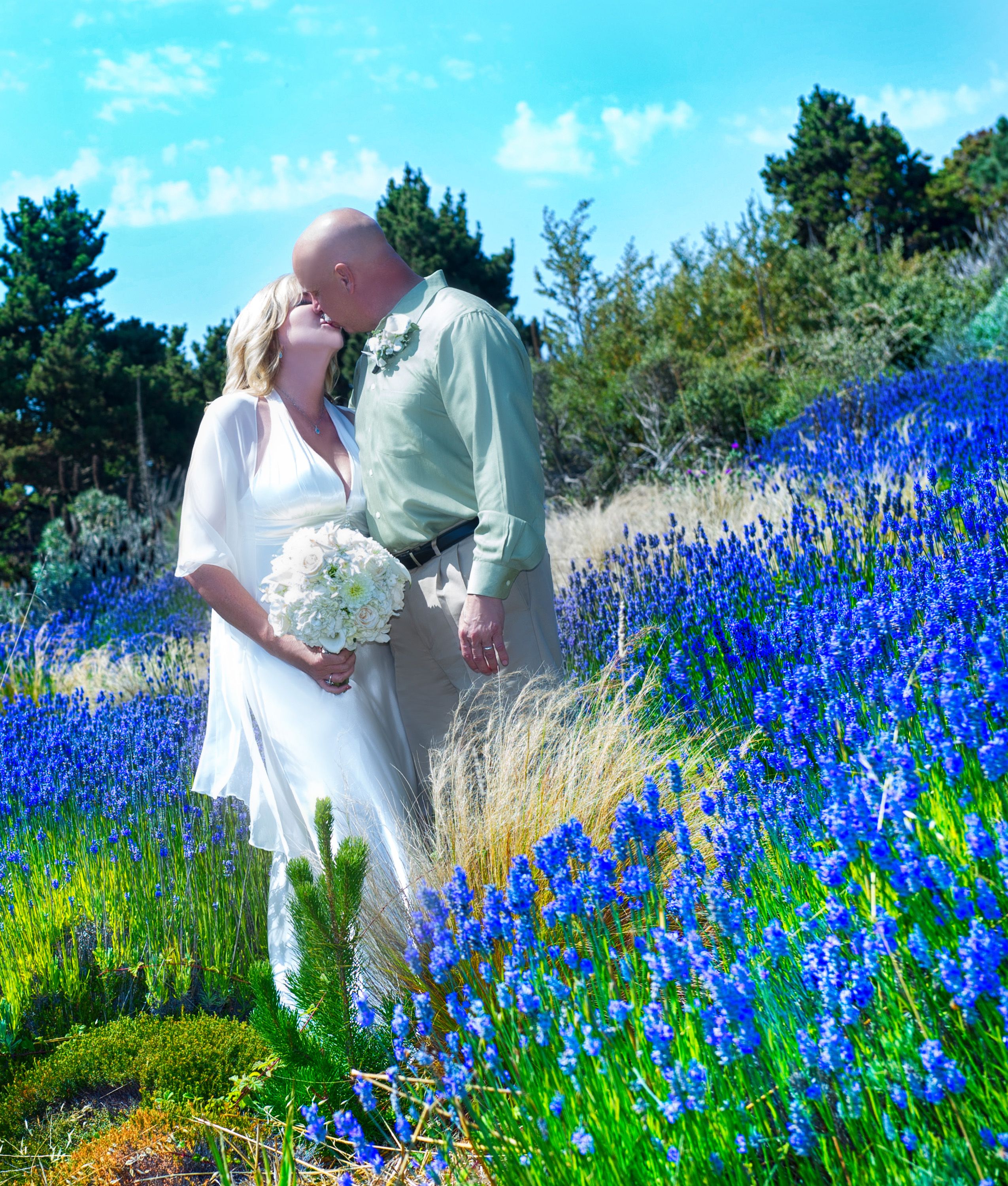 Amore cover 1 copy 2.jpg