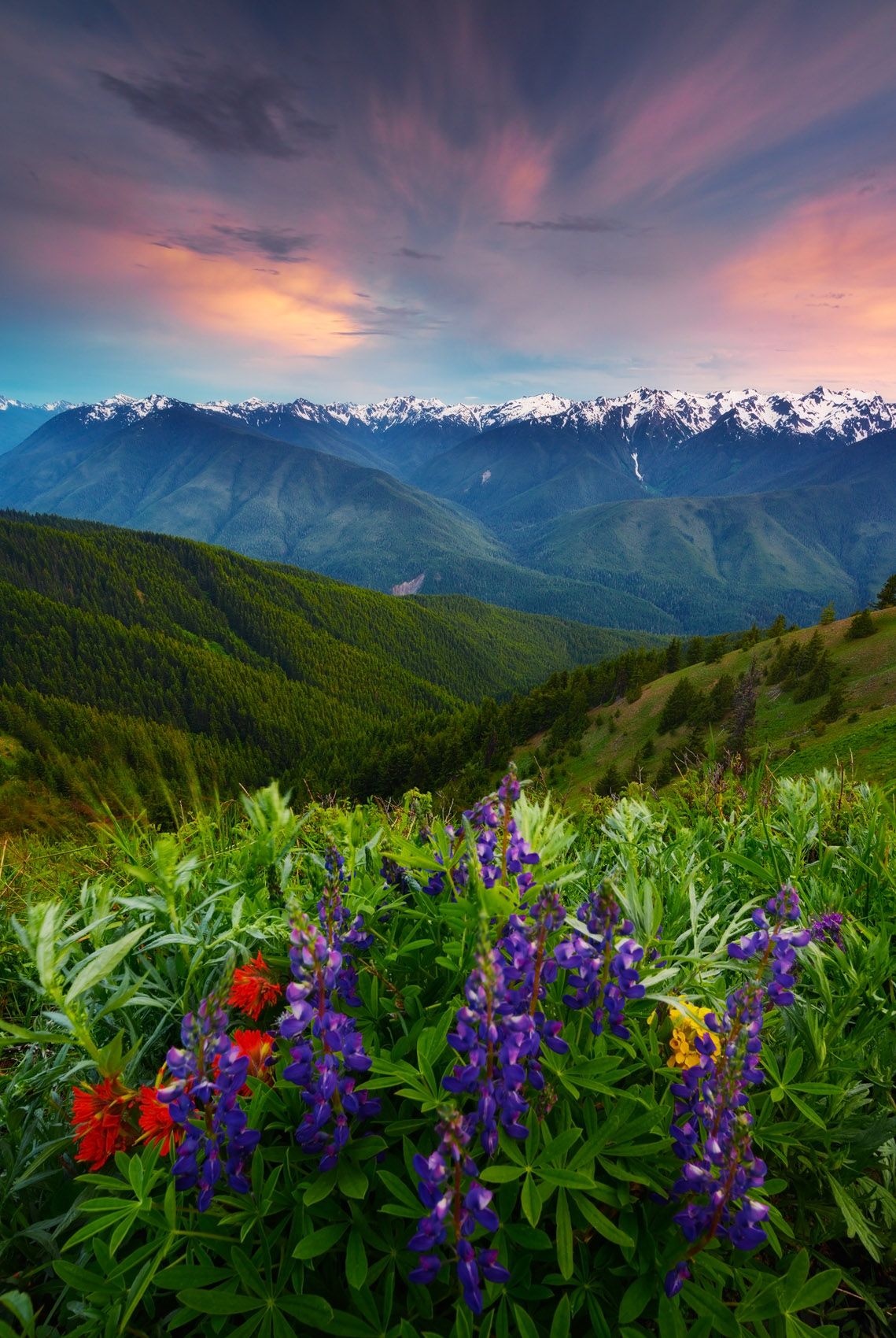 Olympic National Park, Washington The Ridge
