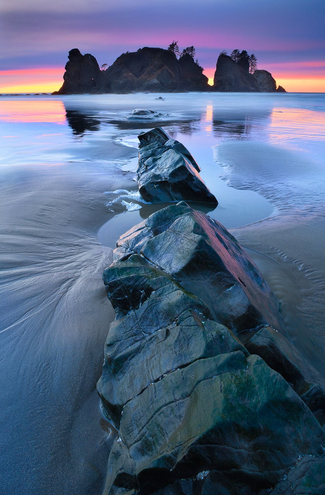 Olympic National Park, Washington. Juried into the North American Nature Photography Association (NANPA) Showcase 2010 and Expressions publication. Finalist, Outdoor Photographer magazine Great Outdoors contest Leading to Light