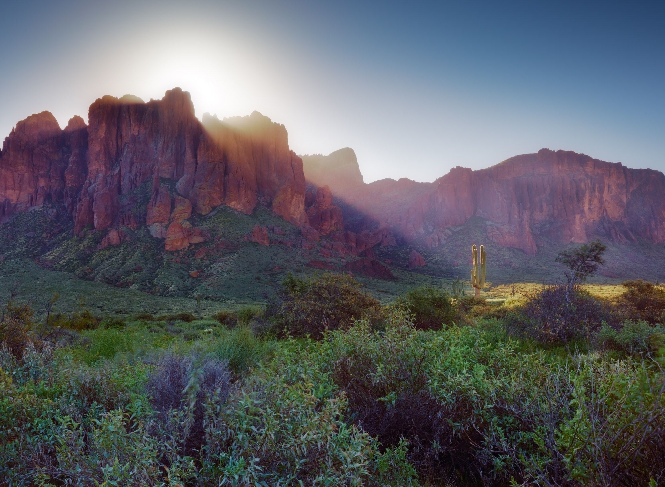 Lost Dutchman State Park, Arizona Sun Rays on Saguaro, Superstitions Wilderness