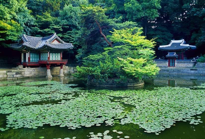 Biwon (Secret Garden), Changdoekkung Palace