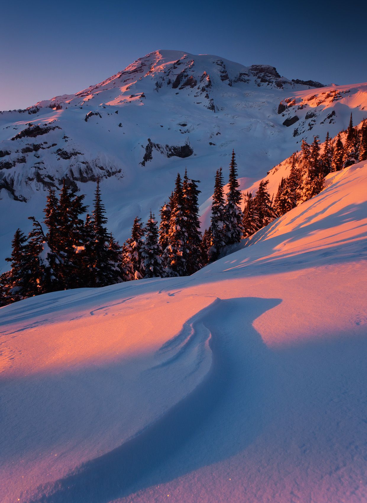 Mount Rainier National Park, Washington February Flavor, Nisqually Glacier
