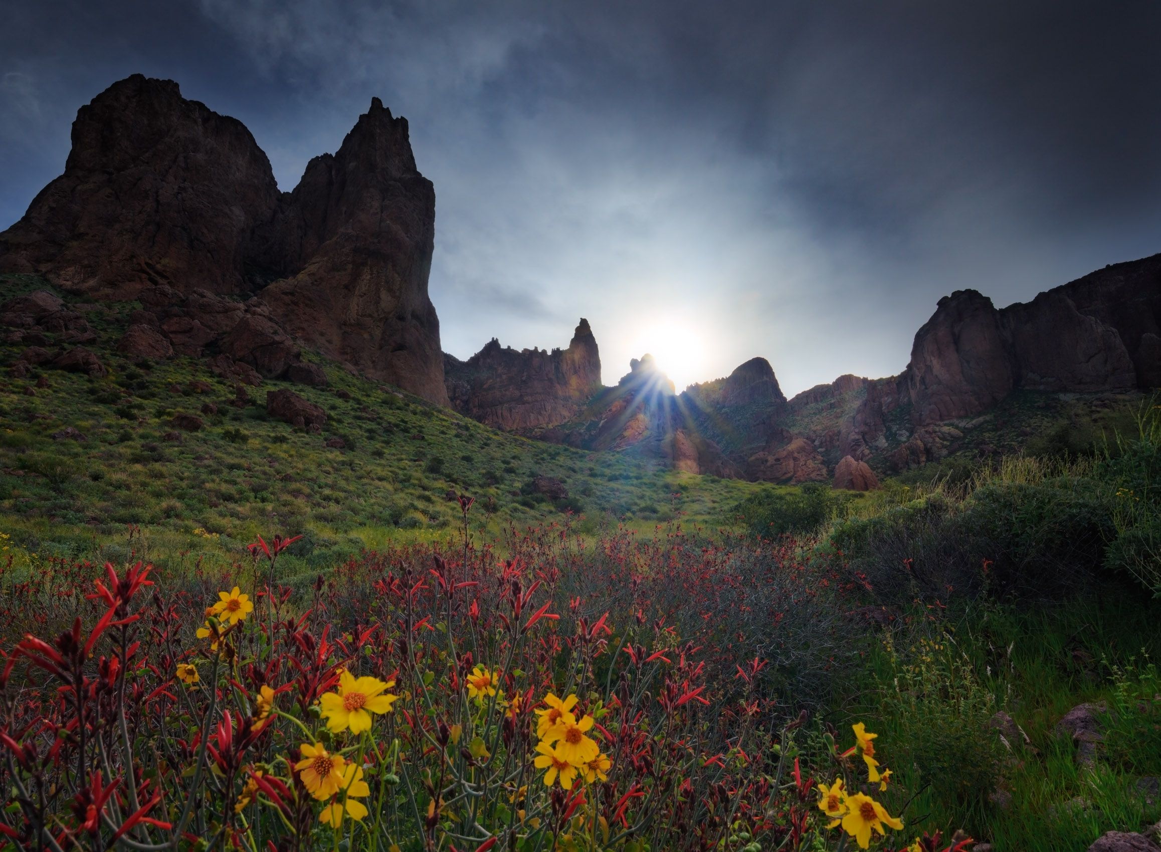 Lost Dutchman State Park, Superstitions Wilderness, Arizona Early Spring, Siphon Draw Trail