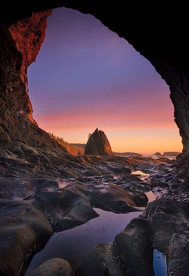 Olympic National Park, Washington Through the Eyes of Giants