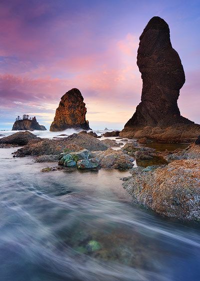 Olympic National Park, Washington Seastack Promenade in Pastel