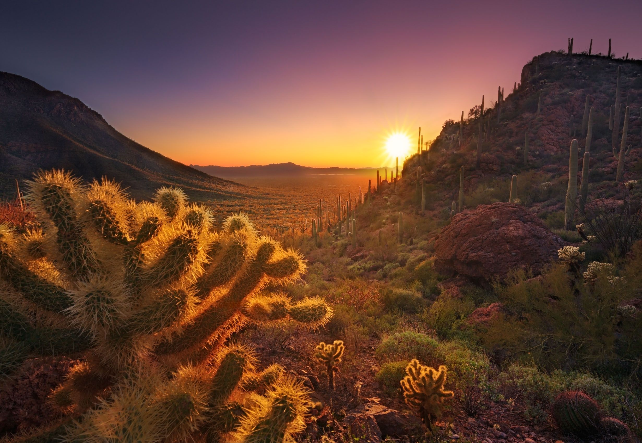 Gates Pass, Tucson Mountain Park, Arizona Desert Majesty