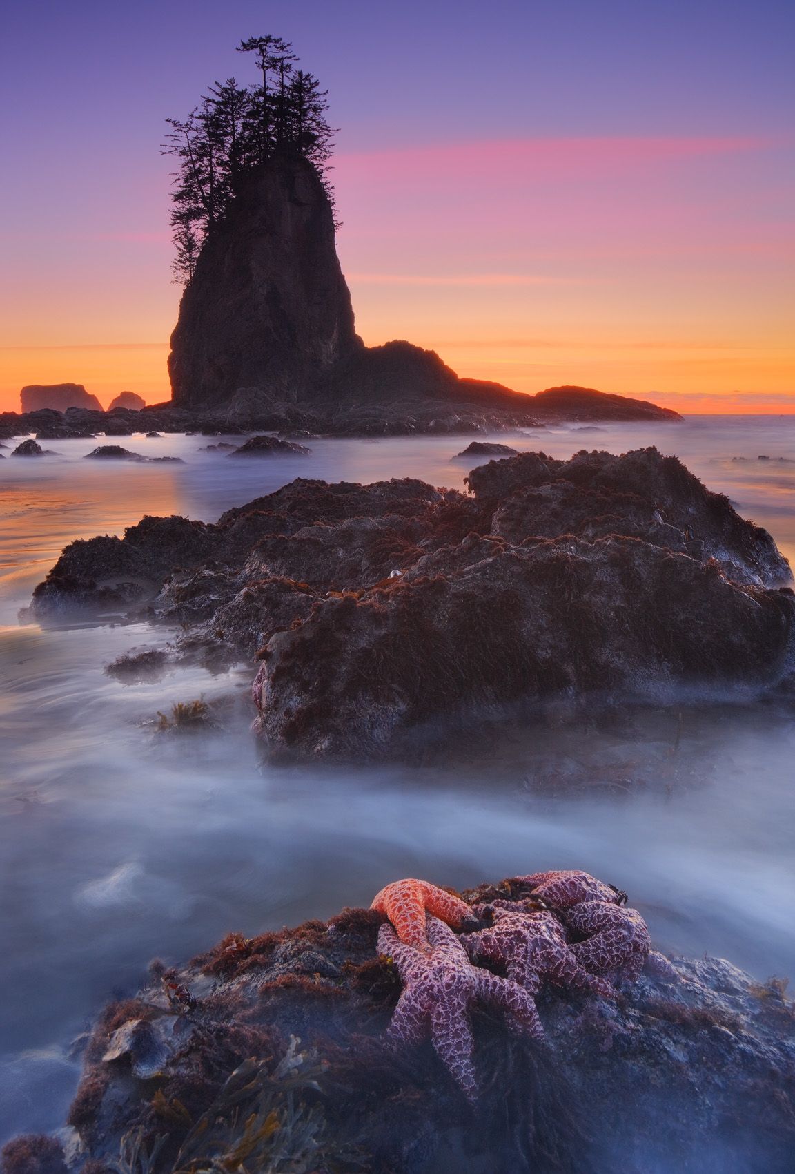 Olympic National Park, Washington . Outdoor Photographer magazine July 2011 issue, honorable mention, 2nd annual Great Outdoors contest. Selected for the NANPA (North American Nature Photography Association) Showcase 2012 competition and Expressions publication. Dreams Of Ochre Seas