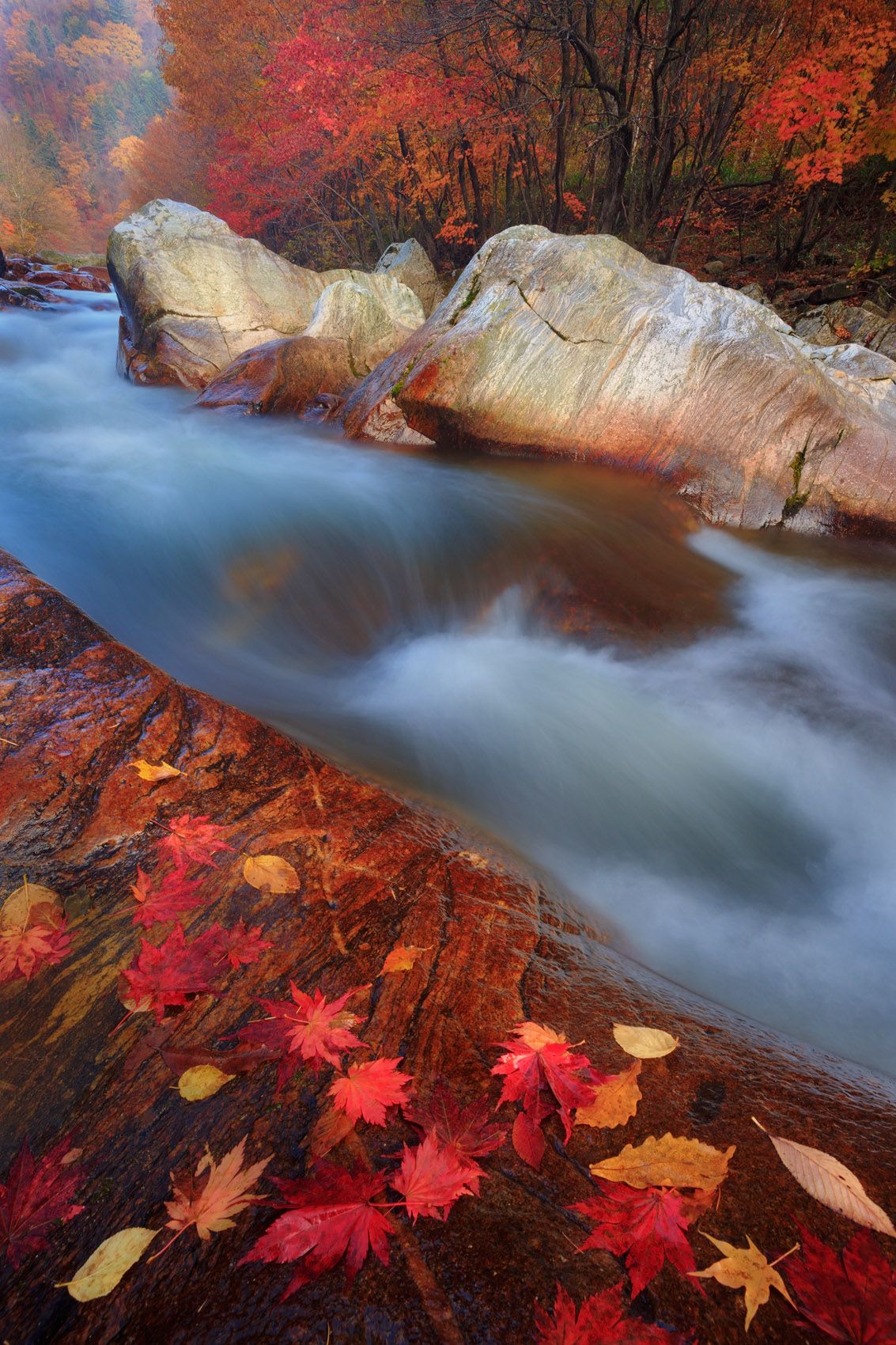 SeonJaeGil, ODaeSan National Park, South Korea Color and Flow, Korean Autumn