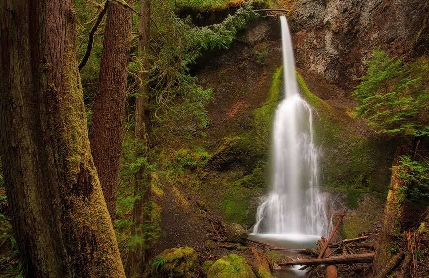 Marymere Falls, Olympic National Park, Washington Leading to Lush