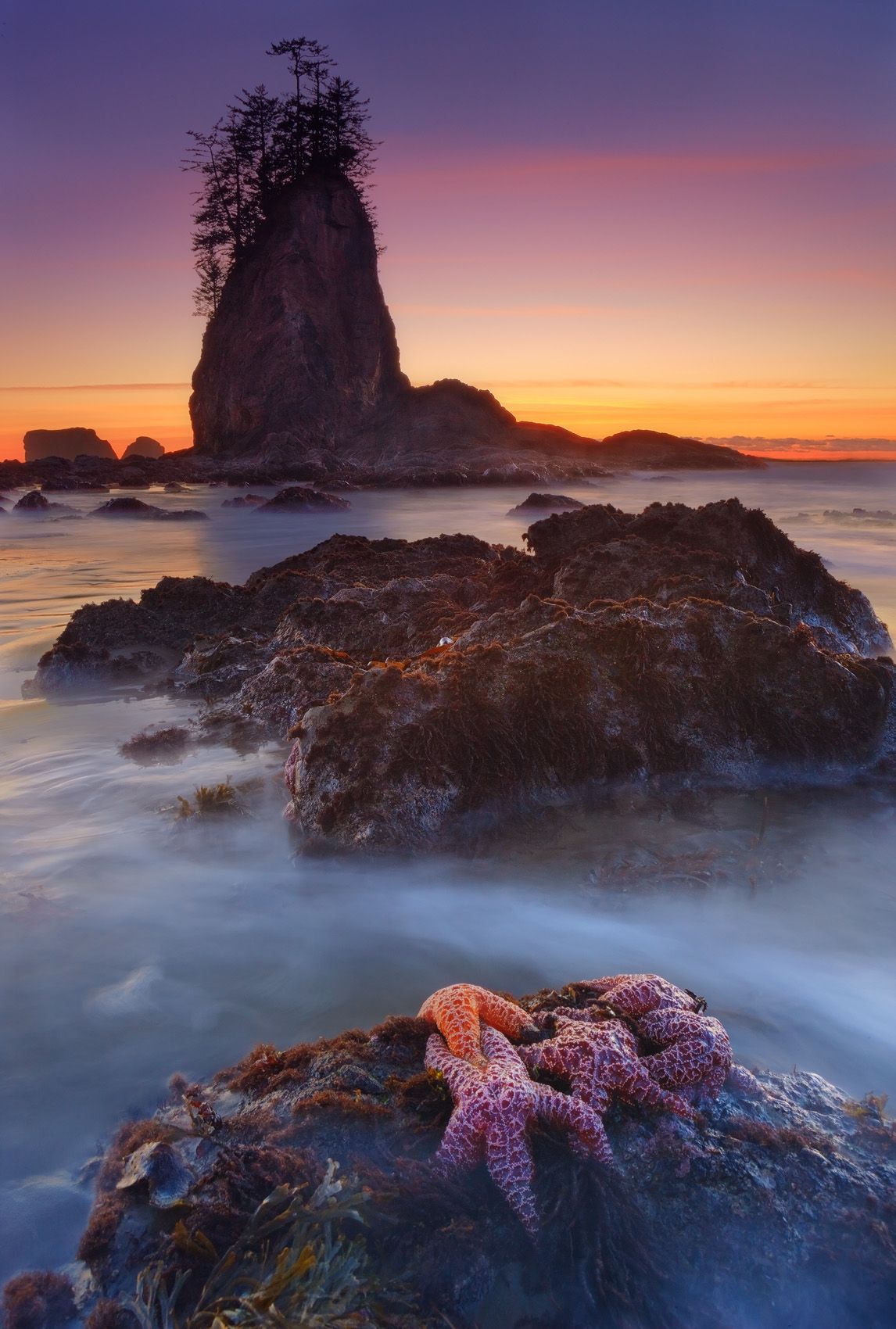 Dreams Of Ochre Seas