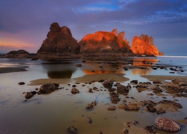 Olympic National Park, Washington Seastacks at Dawn, Point of the Arches