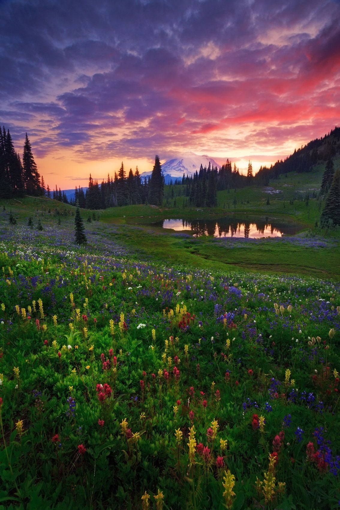 Chinook Pass, Washington State Summer's Not Over
