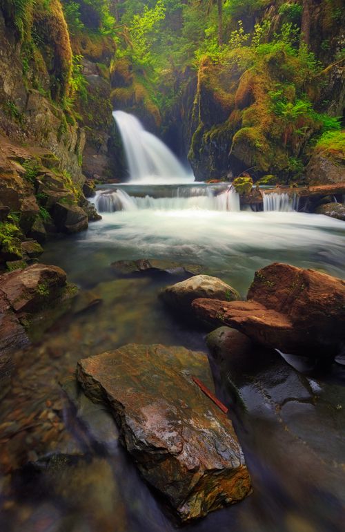 Pristine Pleasure, Virgin Creek Falls