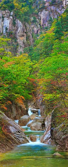 (UNESCO Biosphere Reserve since 1982)South Korea Early Autumn Gorge, Seoraksan National Park (Vertical Panorama)