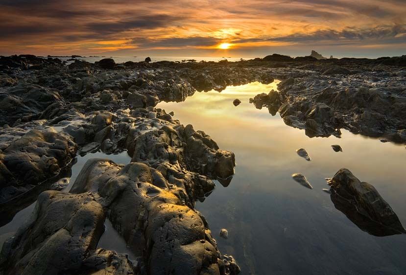 Olympic National Park, Washington Rialto Beachscape