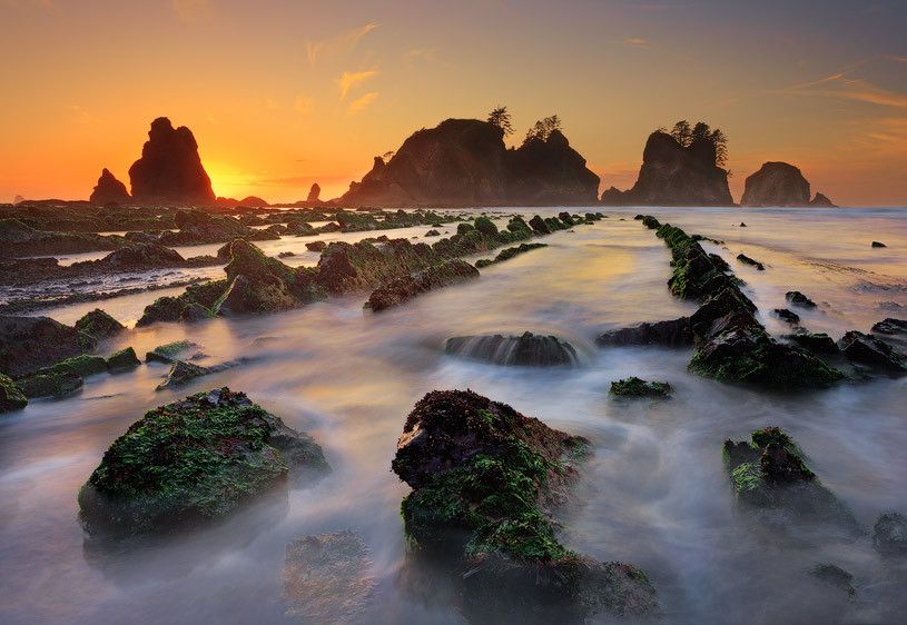 Olympic National Park, Washington To The Point