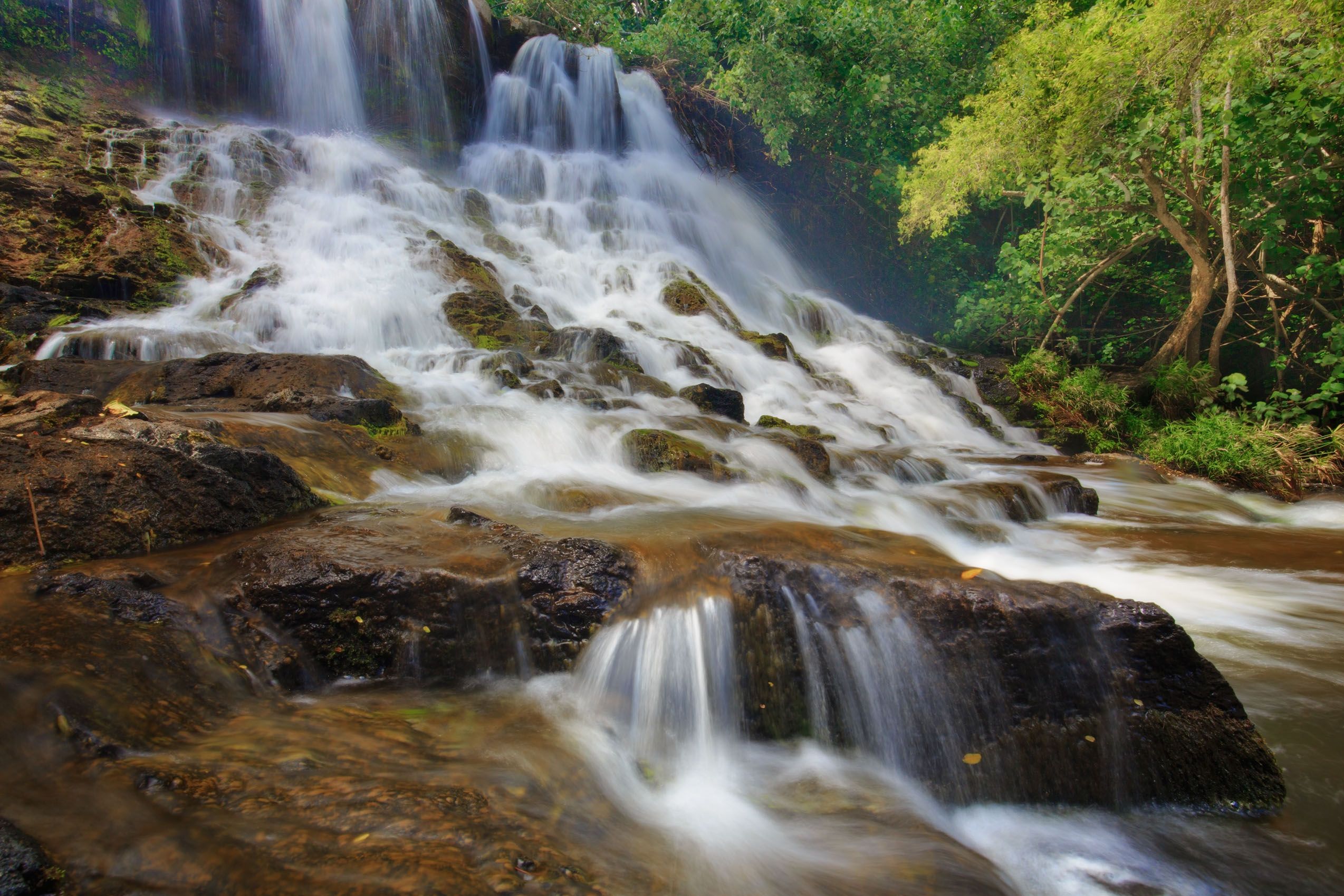 Kaua'i, Hawai'i Tropical Flow, Ho'Opi'i Falls