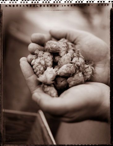 Shot for The Journal of Life Sciences. Jim Wildeman, local brewmaster.