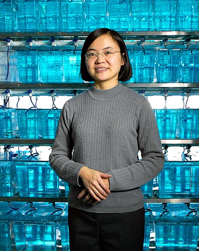 Yale Medicine Magazine