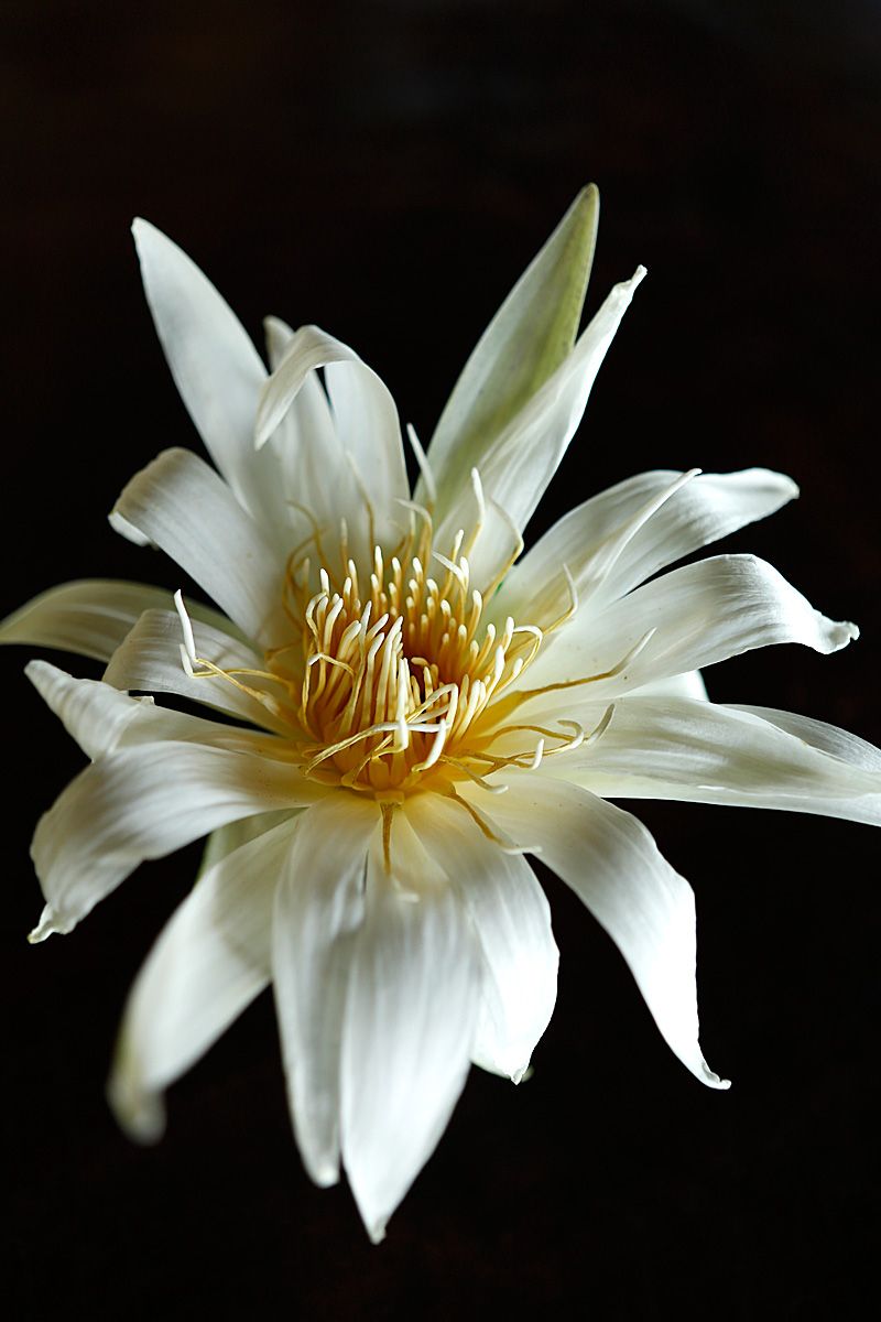 3_photo-6.jpg