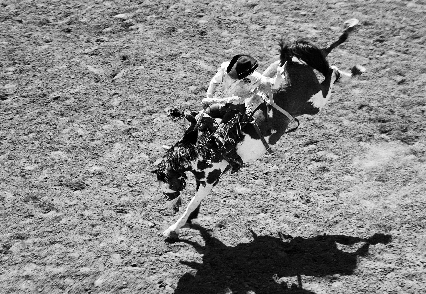1high_angle_bucking_bronco_b_w_2_3209__ec.jpg