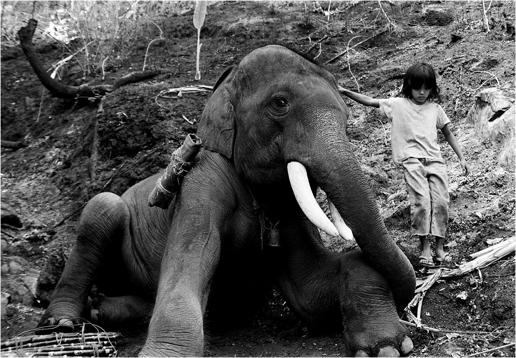 Hong and First - Chaing Mai, Thailand