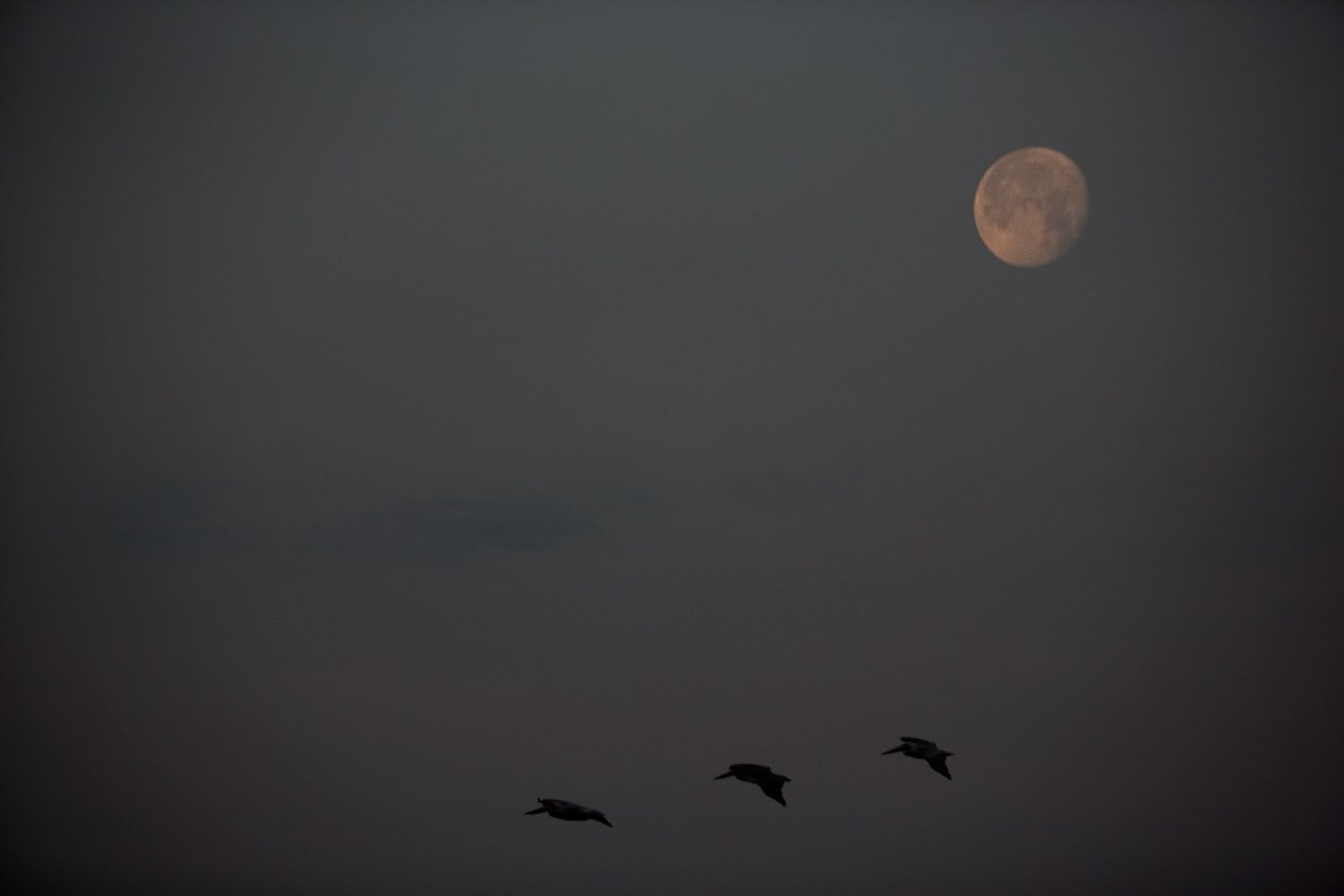 Orlando, Florida Professional Landscape Photographer