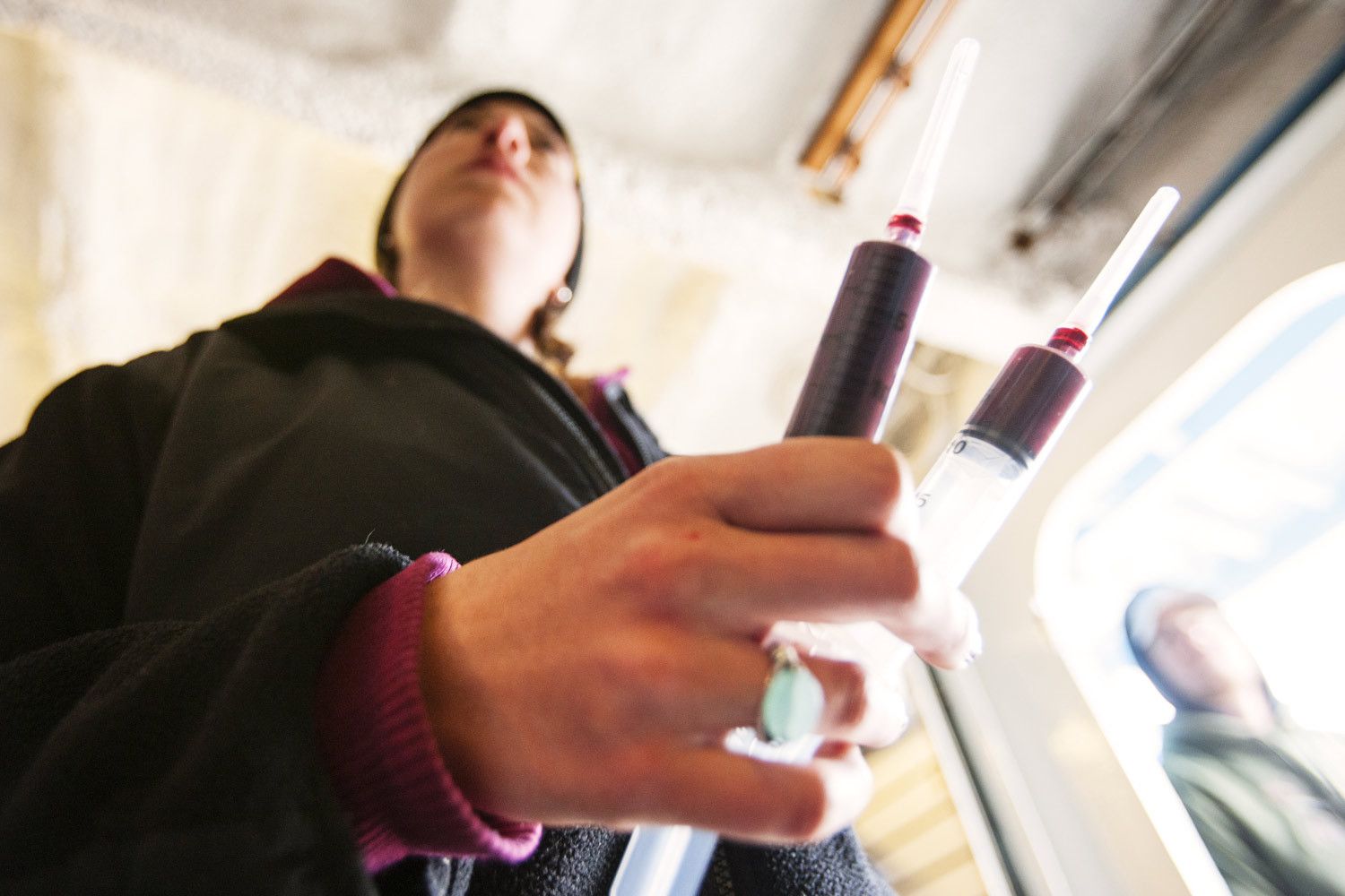 MYSTERIOUS ATLANTIC WHITE SHARK