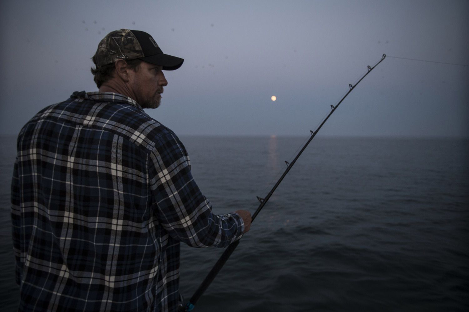 1brett_mcbride_fishing_night_sharks.jpg