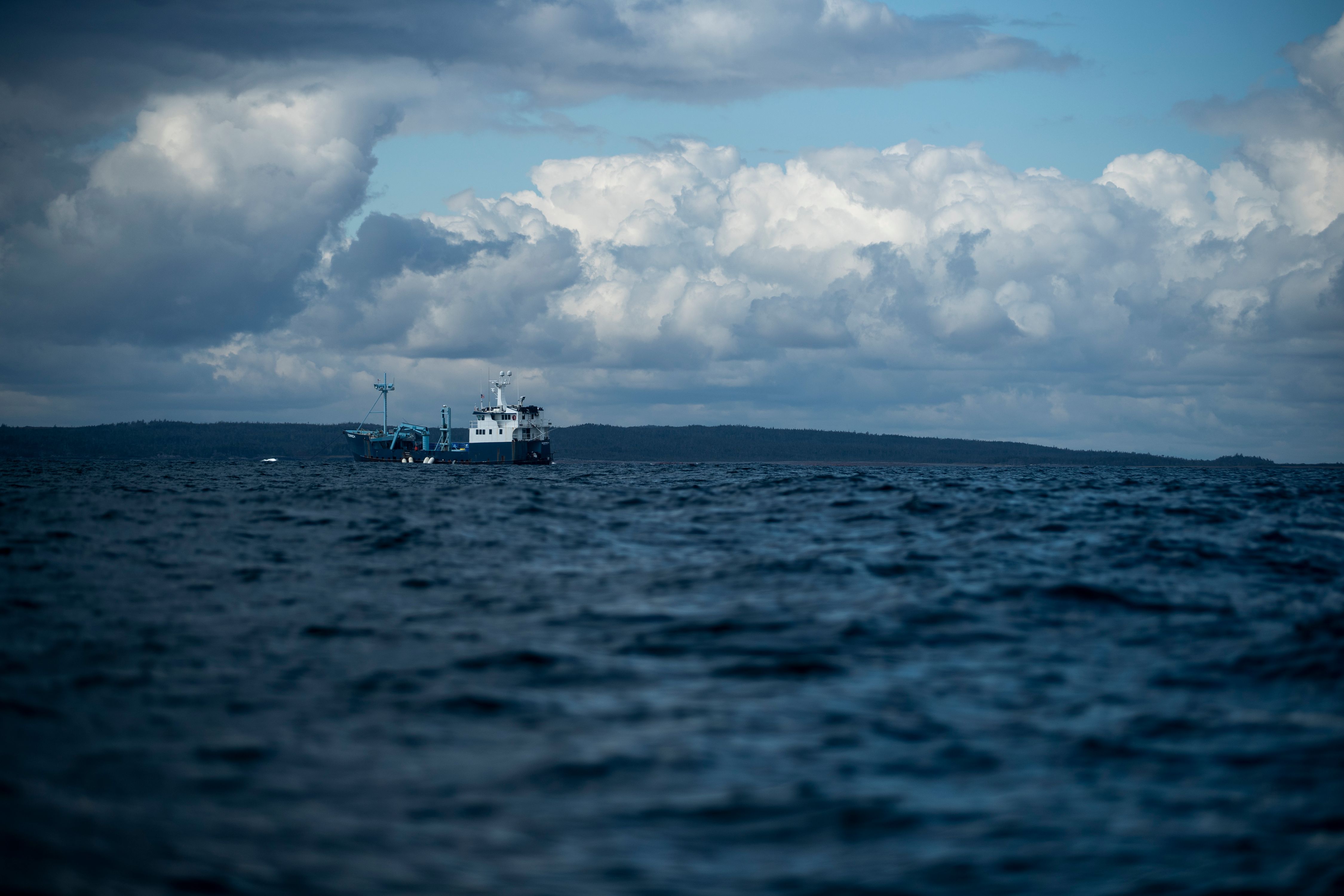 09162019_OCEARCH_NovaScotia_HayIsland_0439.jpg