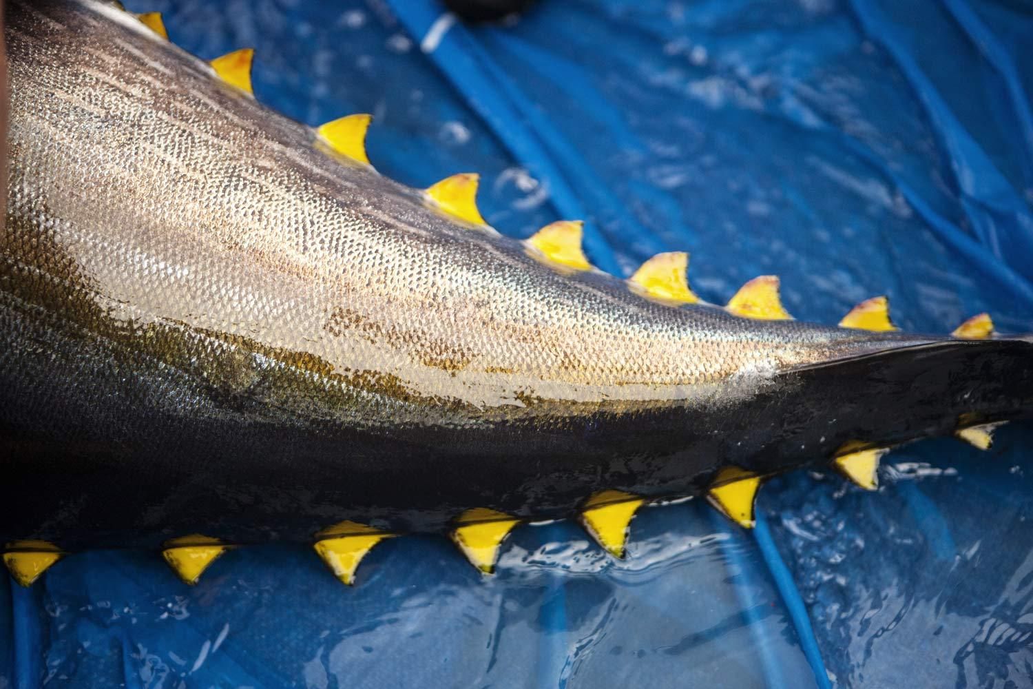 Florida Nature and Wildlife Photography