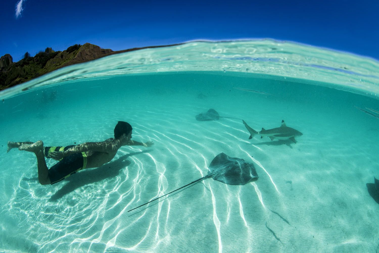 Marine Photography in Florida